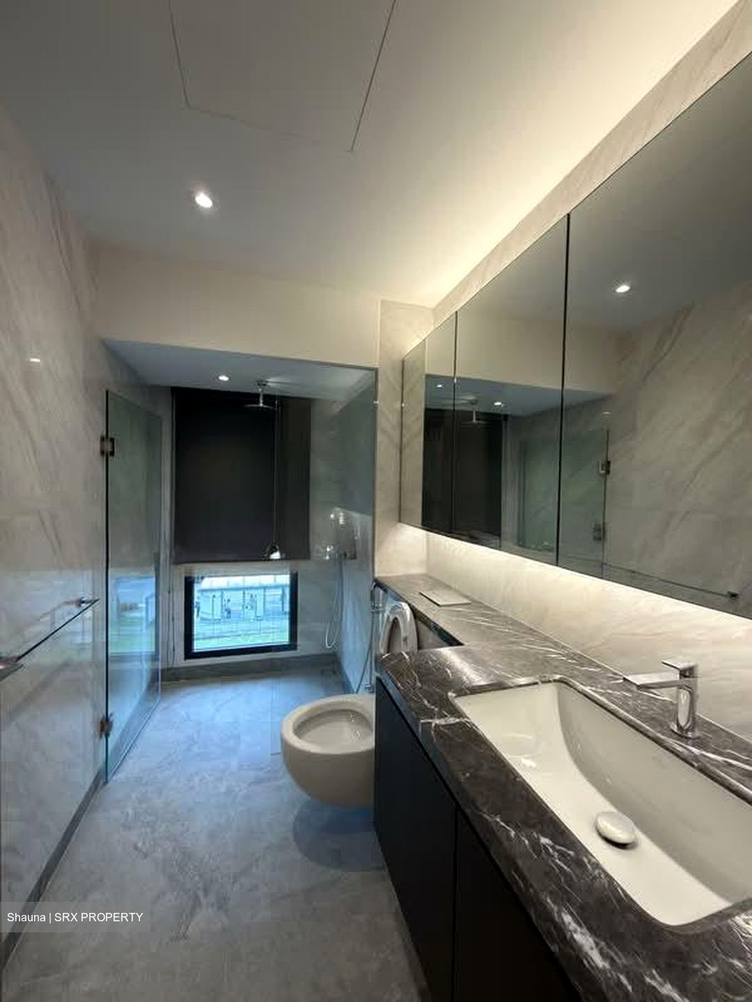 Shrewsbury Road (D11), Terrace #533917041